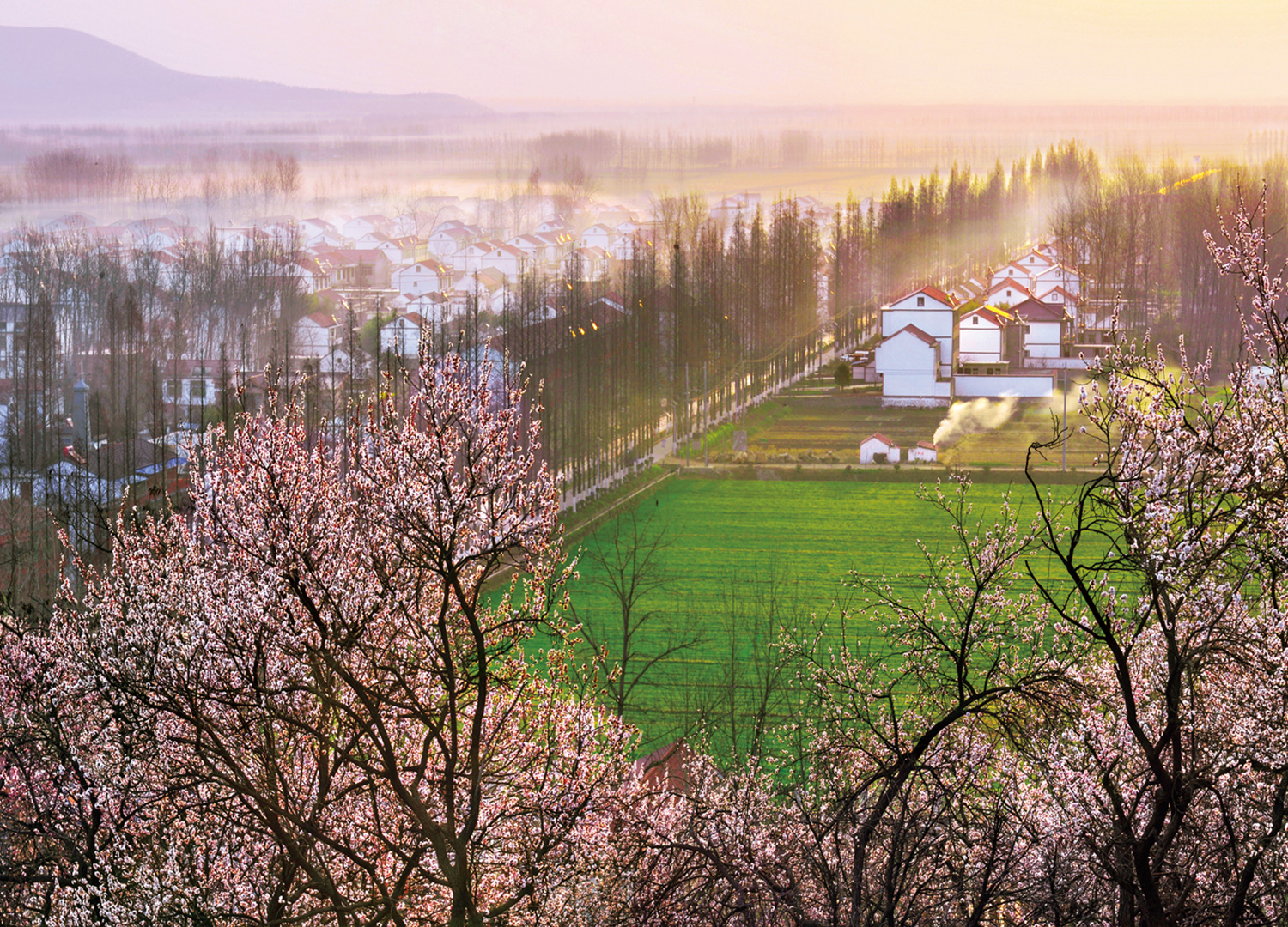 五柳风景区,五柳景区官网,五柳仙境,埇桥区五柳省级风景名胜区,宿州粉红沙滩,星河营地,门票预订,wlfjq.com